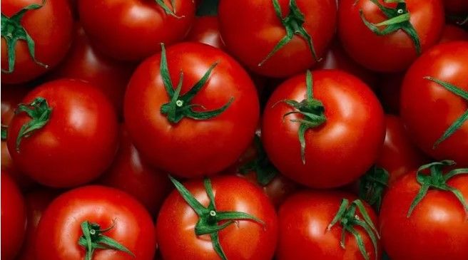 Yetkili isim açıkladı! Bu kış domatesi bakın kaç liraya yiyeceğiz?