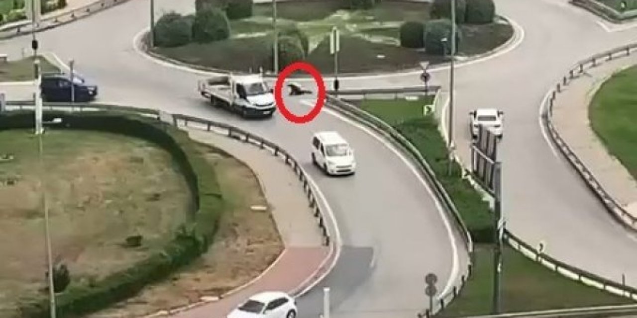 Bursa’da ölümüne dilencilik böyle görüntülendi