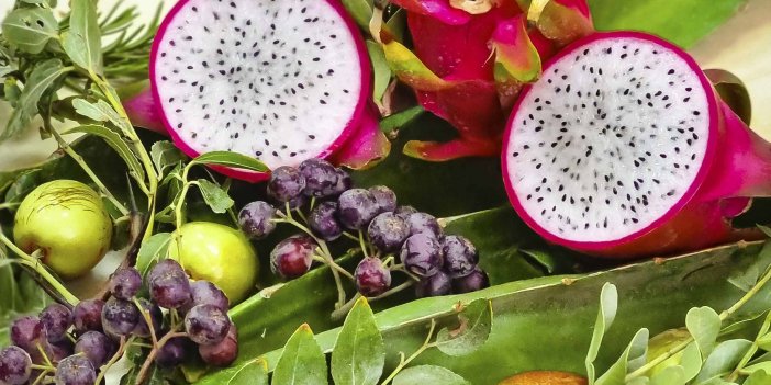 AYDIN BÜYÜKŞEHİR BELEDİYESİ’NİN YETİŞTİRDİĞİ EJDER MEYVELERİNDEN İLK HASAT YAPILDI