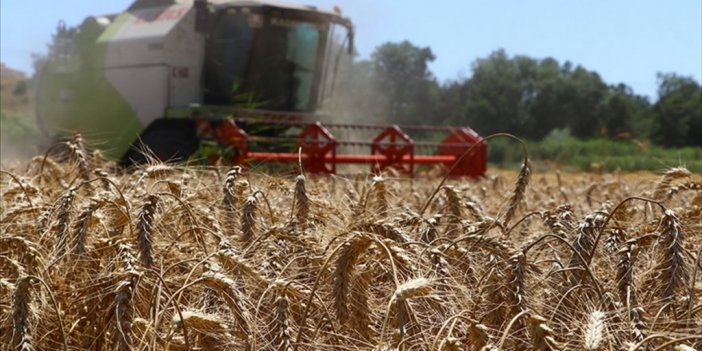 756,6 Milyon Liralık Tarımsal Destek Ödemeleri Bugün Yapılacak