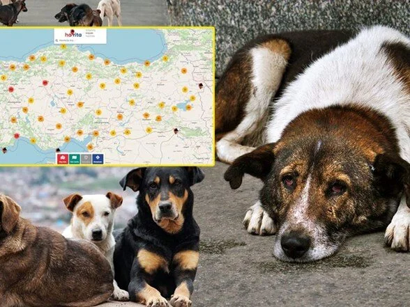 'Havrita'ya bu kez 'ekstra tehlike'den erişim engeli