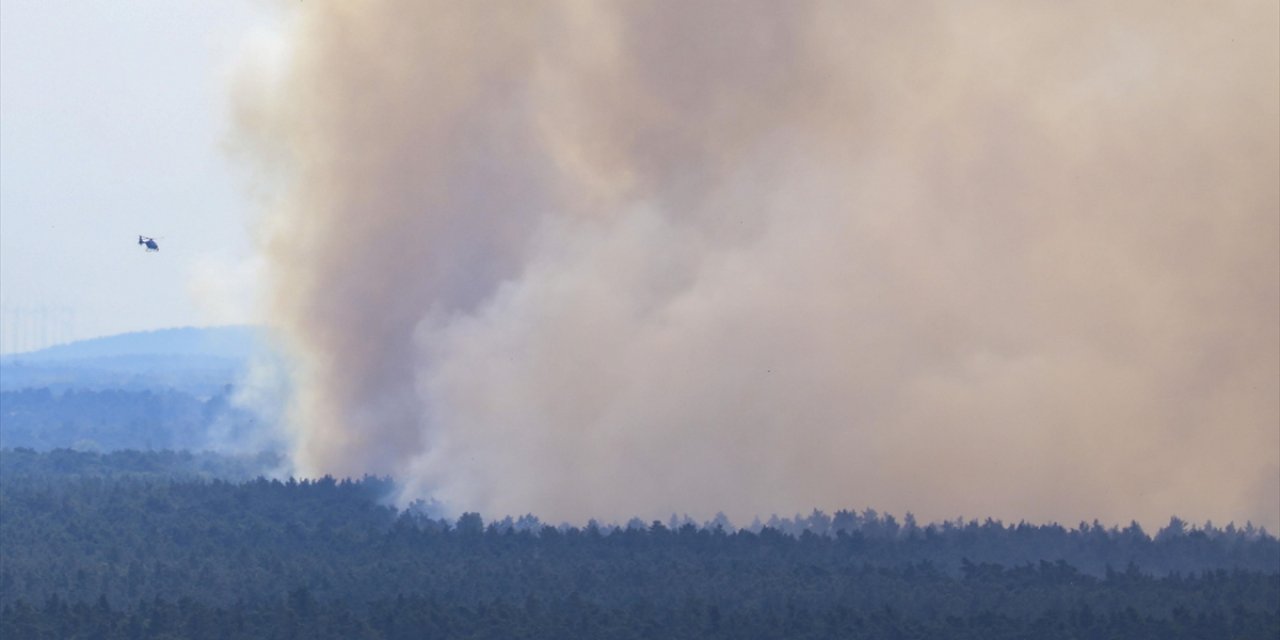 Almanya’da En Fazla Ormanlık Alan Bu Yılki Yangınlarda Kül Oldu