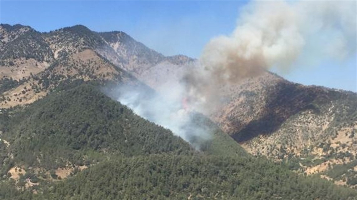 Kahramanmaraş'ta Çıkan Orman Yangınına Müdahale Ediliyor