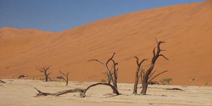 Afrika "kıtanın Kaderini Etkileyen" İklim Krizini Görüşüyor