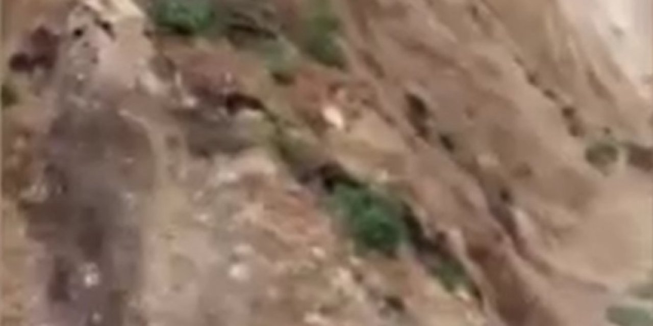 Meksika'da heyelan meydana geldi