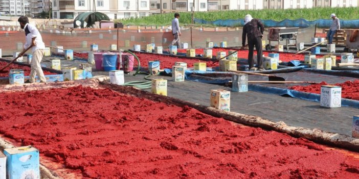 Şanlıurfa'da "isot Reçeli" Sezonu Başladı