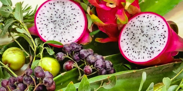 ÇERÇİOĞLU ALTERNATİF TARIM ÜRÜNLERİYLE AYDIN ÇİFTÇİSİNE DESTEK VERİYOR