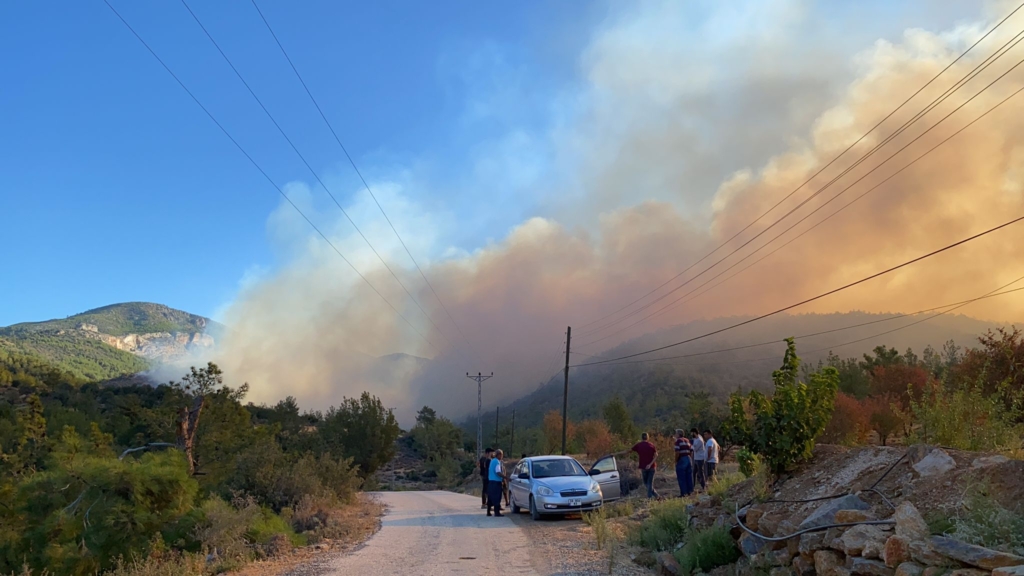 Mersin’de orman yangını!