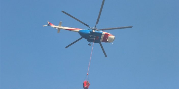 Alanya'da Orman Yangını Çıktı