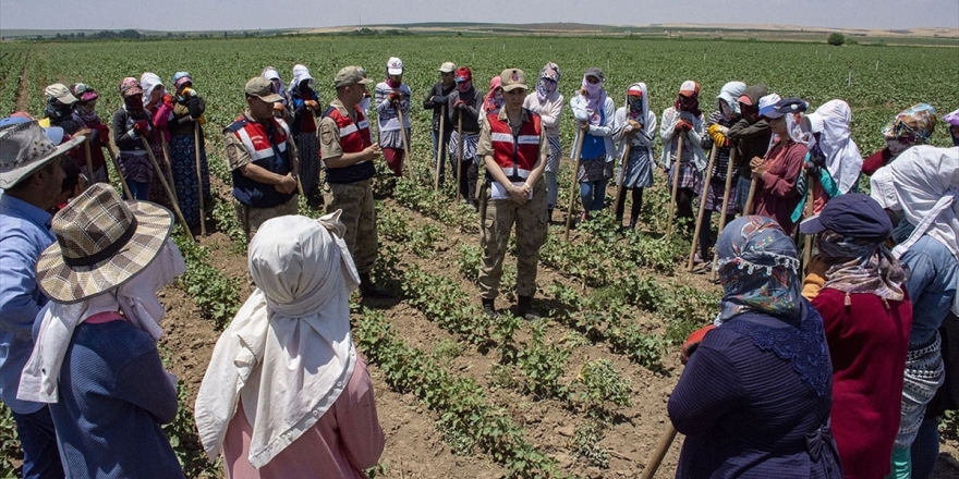 Mevsimlik İşçiler Jandarmanın Takibinde