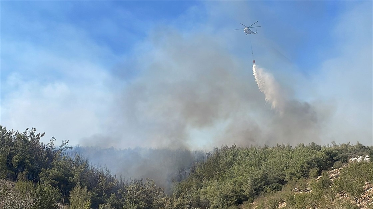 Mersin'de Orman Yangını Çıktı