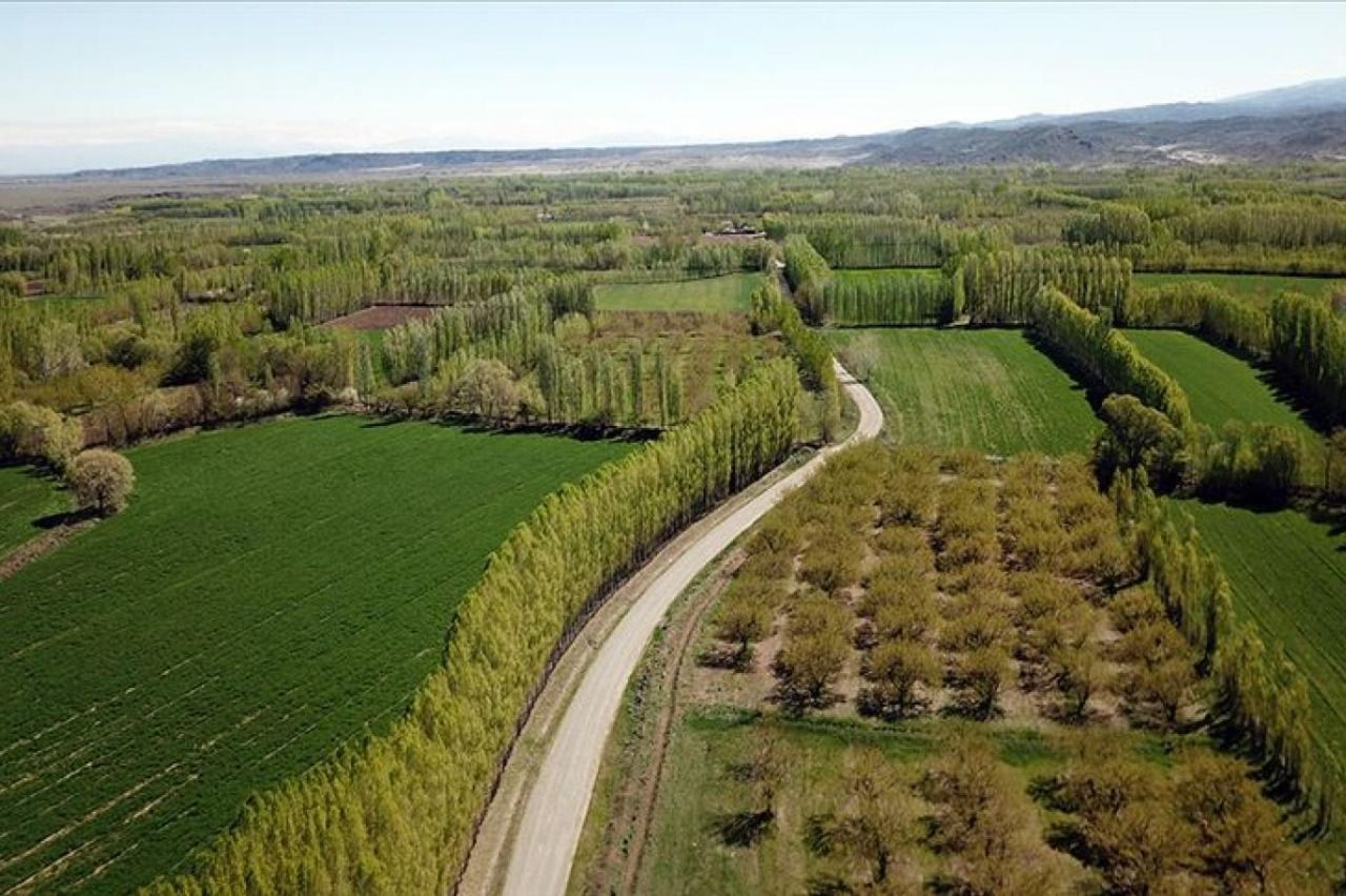 Sata sata doymadılar! 499 hazine arazisi daha satışa çıkarıldı