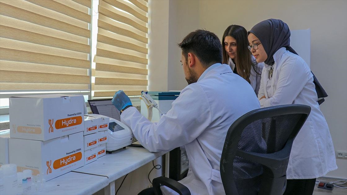 Van'da İdrardan Prostat Kanserini Tespit Eden Tanı Kiti Geliştirildi