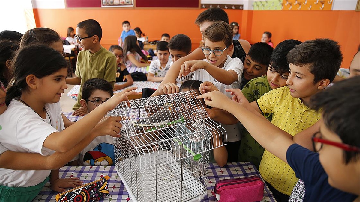 İlk Dersin Heyecanını Öğretmenlerinin Papağanı "Papi" İle Yendiler