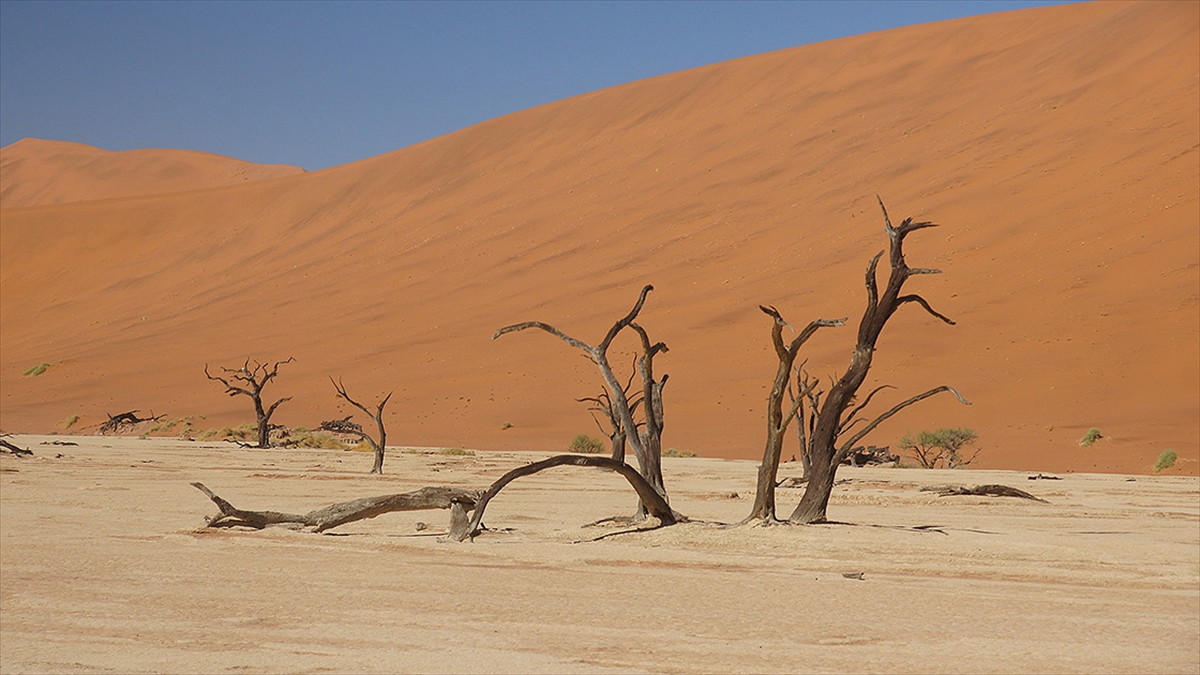 Afrika İklim Değişiminden Ötürü Gsyh'nin Yüzde 15'i Kadarını Kaybediyor