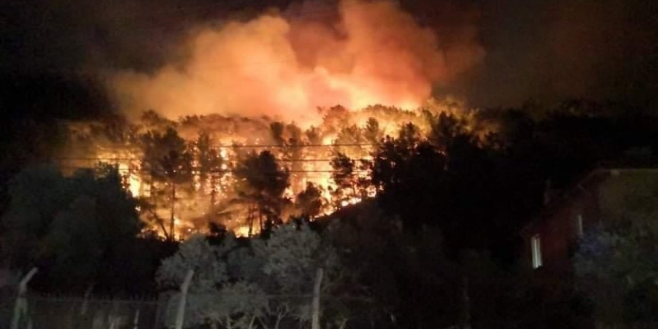 Muğla'nın Ula ilçesinde orman yangını çıktı