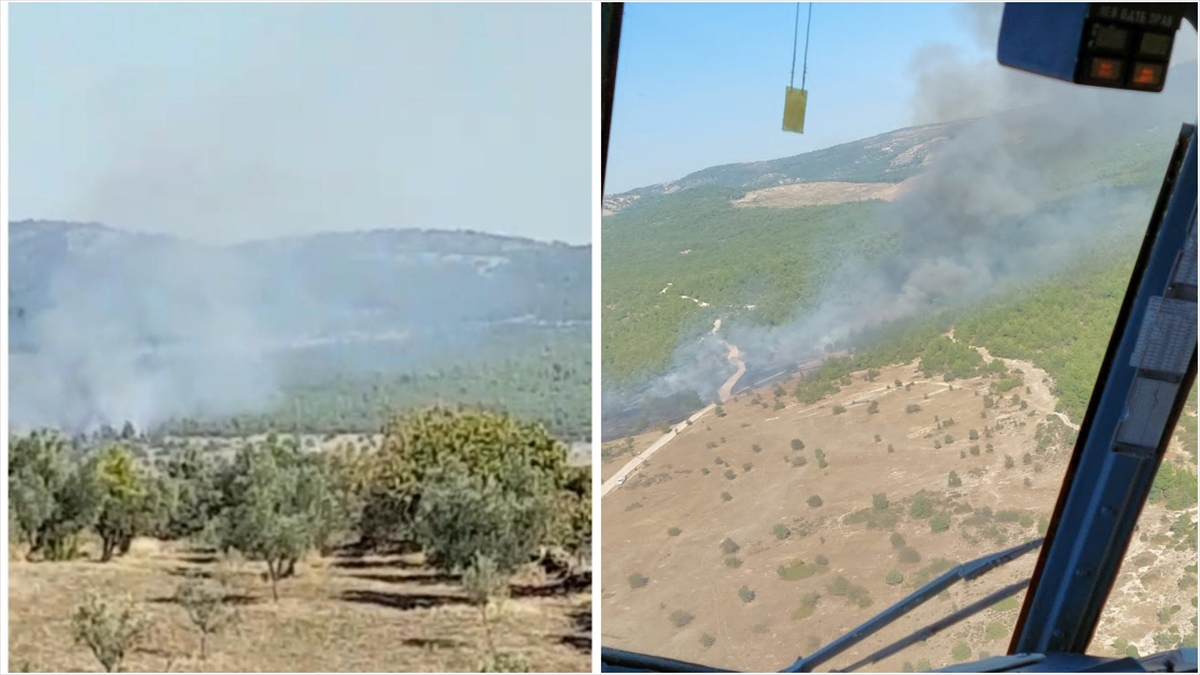 Manisa'da Çıkan Orman Yangınına Havadan Ve Karadan Müdahale Ediliyor