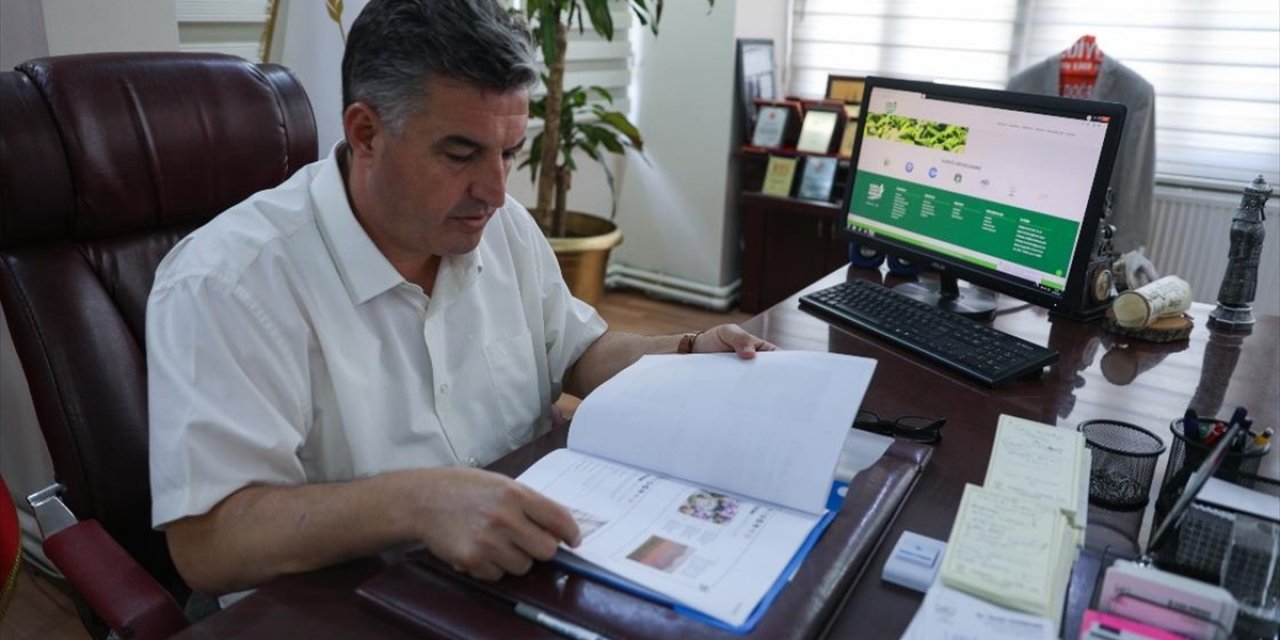 Tıbbi Ve Aromatik Bitkiler, Kınık İhtisas Organize Sanayi Bölgesiyle Değerlenecek