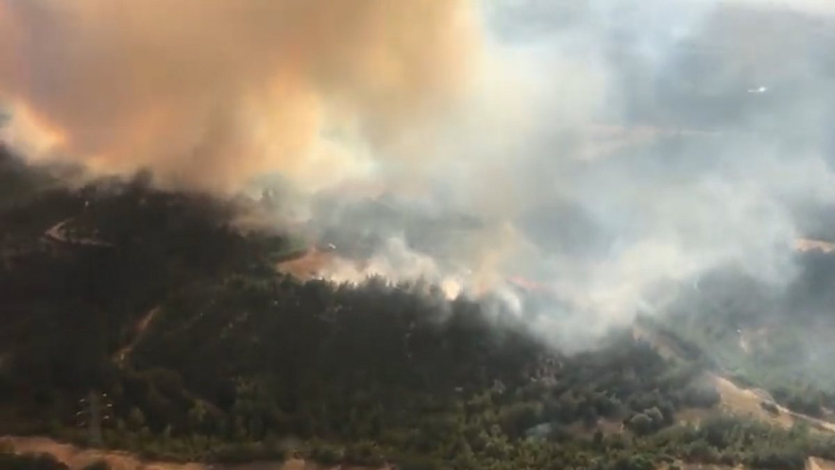 Adana'da korkutan orman yangını: Ekipler müdahale ediyor