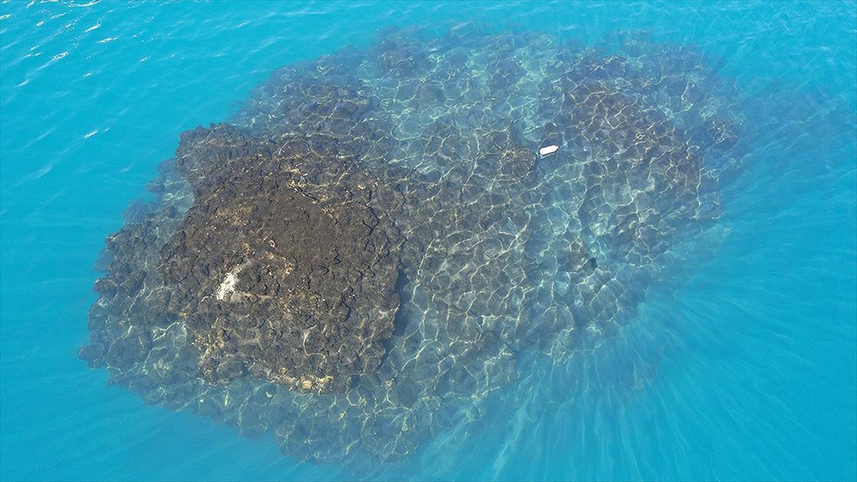 Van Gölü'nde 32,2 Metre Uzunluğunda Mikrobiyalit Görüntülendi