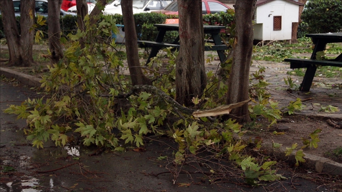 Doğu Anadolu'nun Bazı Kesimleri İçin Kuvvetli Rüzgar Ve Fırtına Uyarısı