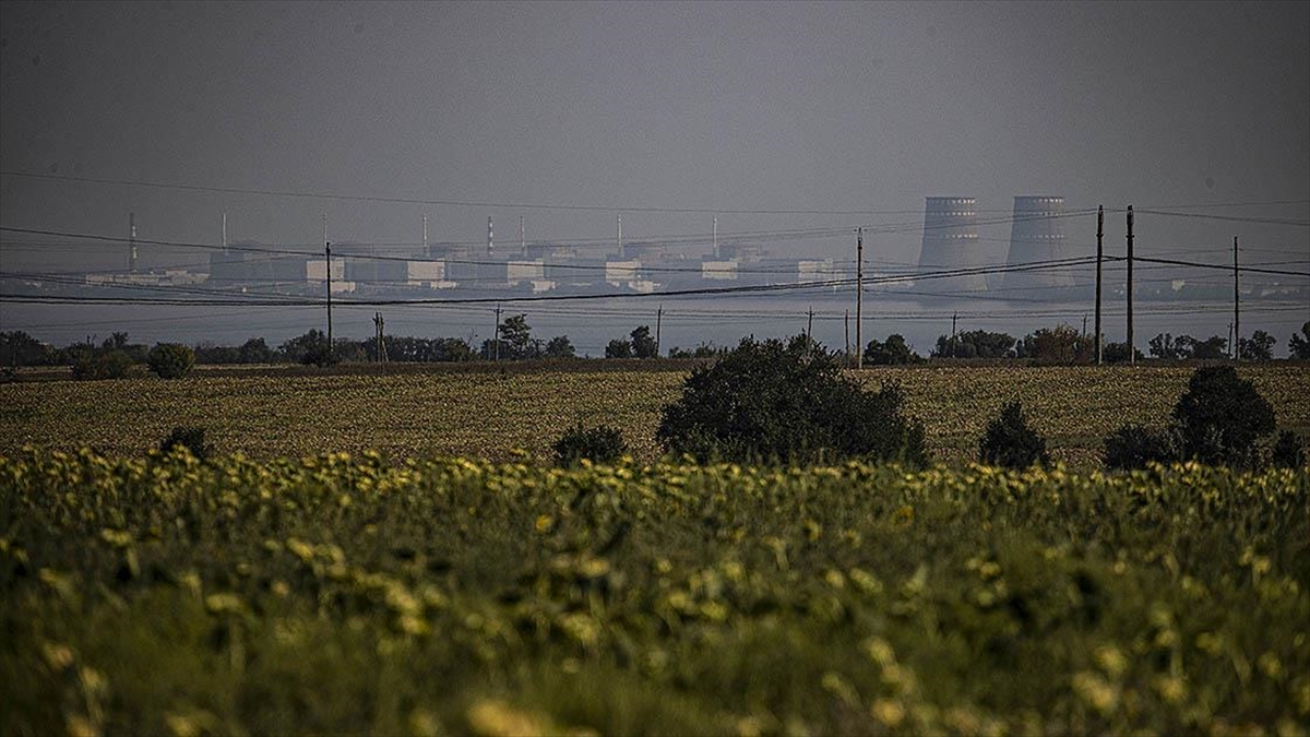 Polonya Olası Radyasyona Karşı Potasyum İyodür Tabletleri Dağıttı