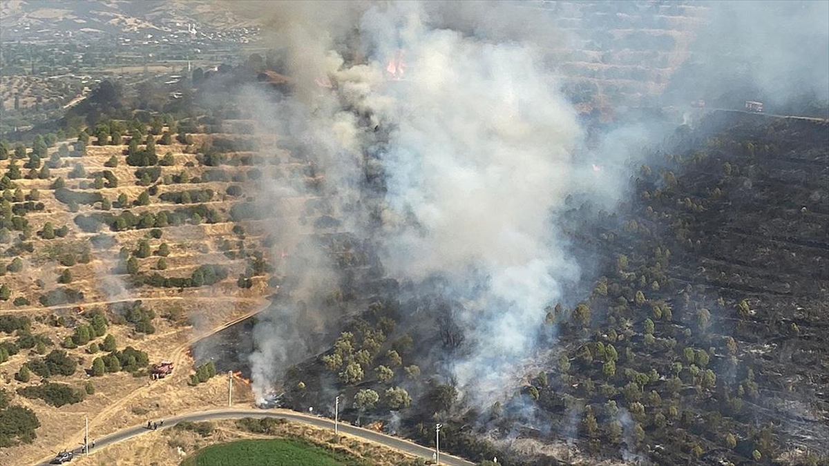 İzmir'de Çıkan Yangına Havadan Ve Karadan Müdahale Ediliyor