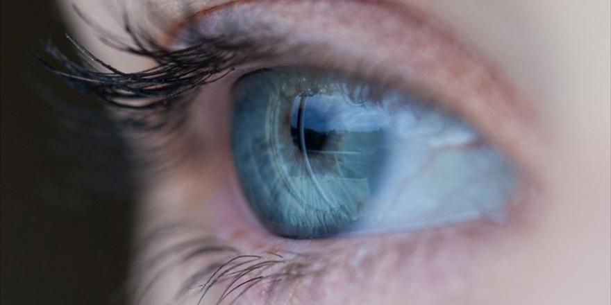 'Lens Ve Güneş Gözlüklerinin Online Satışı Durdurulmalı'