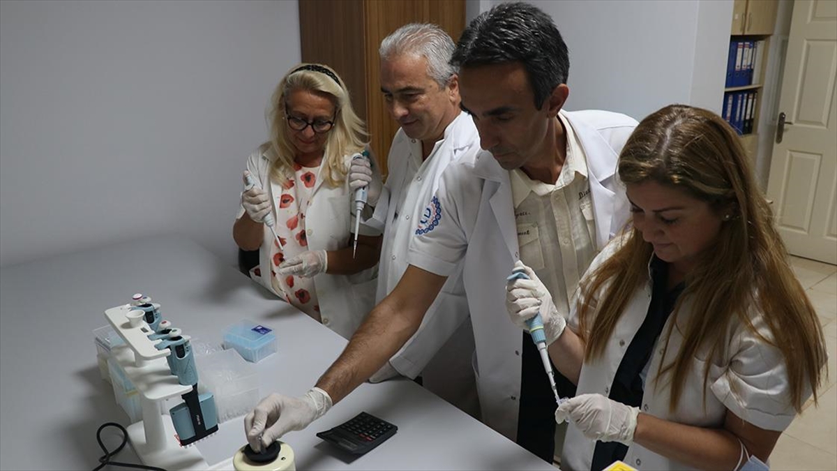 Türk Bilim İnsanları Yeni Bir Genetik Hastalığı Tanımladı