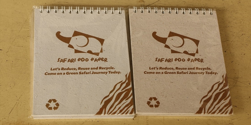 Fil Dışkısından Kağıt Üretimi