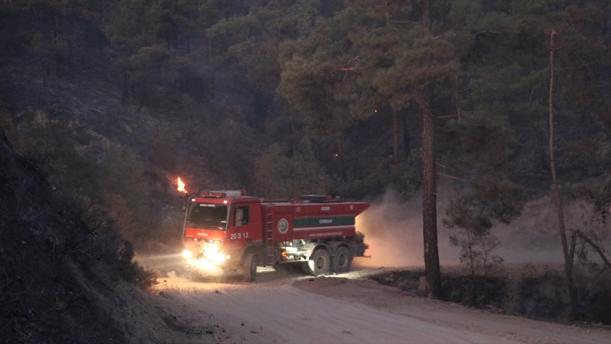Denizli'de Orman Yangını Çıktı