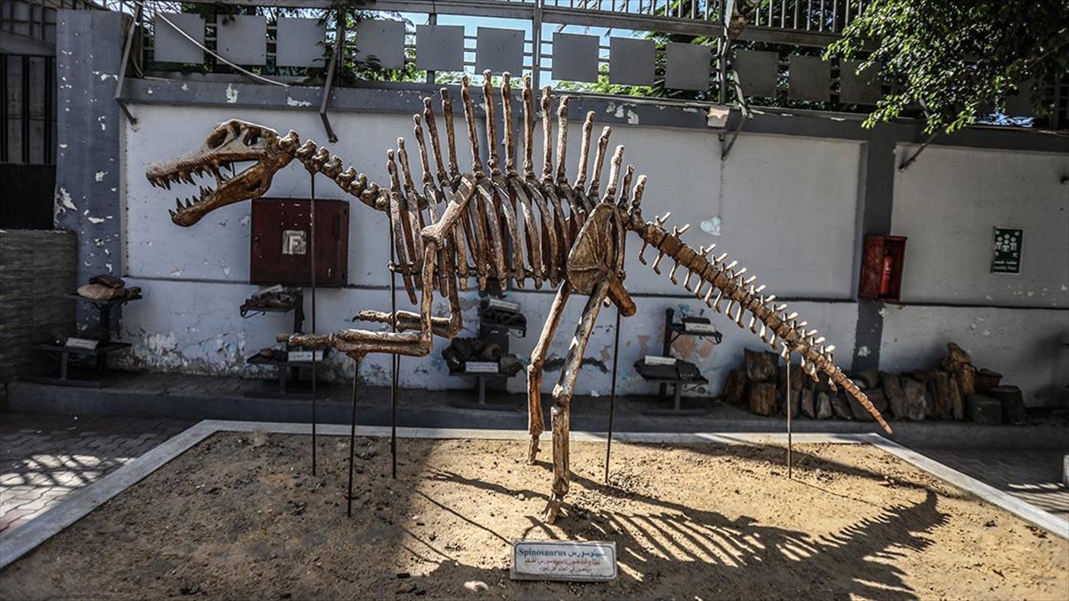 Orta Doğu Ve Afrika'nın İlk Yerbilim Merkezi: Mısır Jeoloji Müzesi