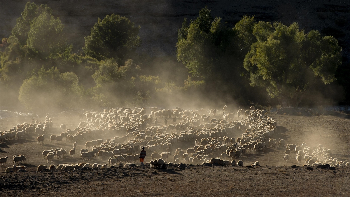 Göçerlerin Munzur Ve Mercan Dağları'ndan Köylerine Zorlu Dönüşü Başladı