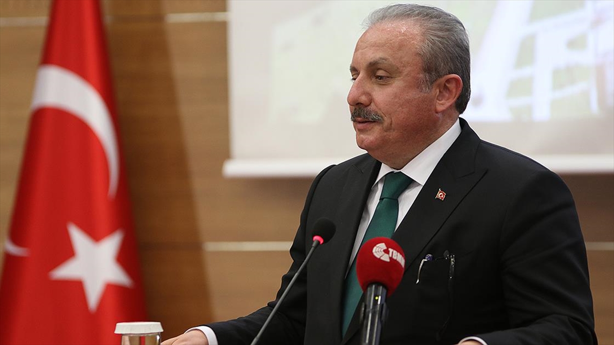 Şentop'tan 'Yeni Anayasa' açıklaması