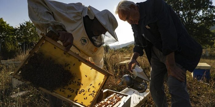Çeyrek Asırdır Bal Arılarının Verimini Artırmak İçin Çalışıyor
