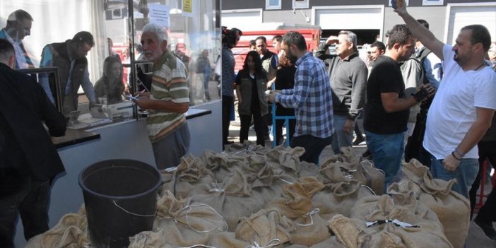 Üreticiler, Tmo'nun Fındık Alımından Memnun