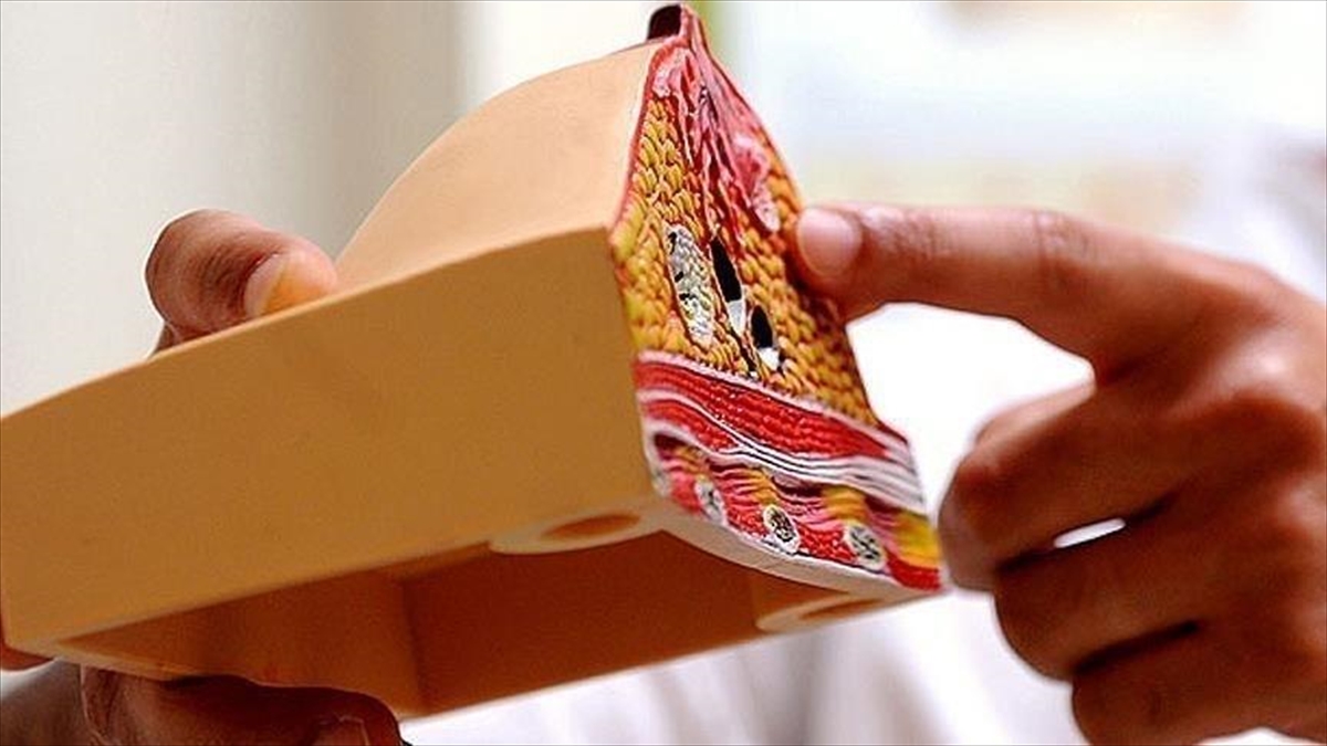 Akrep Zehrinin Meme Kanseri Tedavisinde Kullanılması İçin Umutlandıran Araştırma