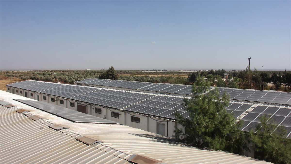 Kilis'te Devlet Desteğiyle Tesisinin Çatısına Ges Kuran Üretici, Enerji Maliyetini Sıfırladı