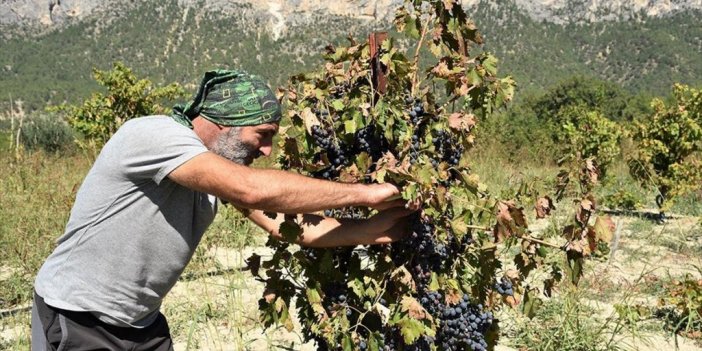 İstanbul'da 30 Yıllık Yöneticiliğin Ardından Doğal Yaşam İçin Bilecik'e Yerleşti