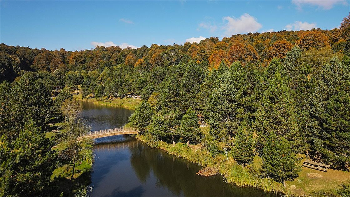 Domaniç Dağları Sonbaharın Sarı Tonlarına Bürünmeye Başladı