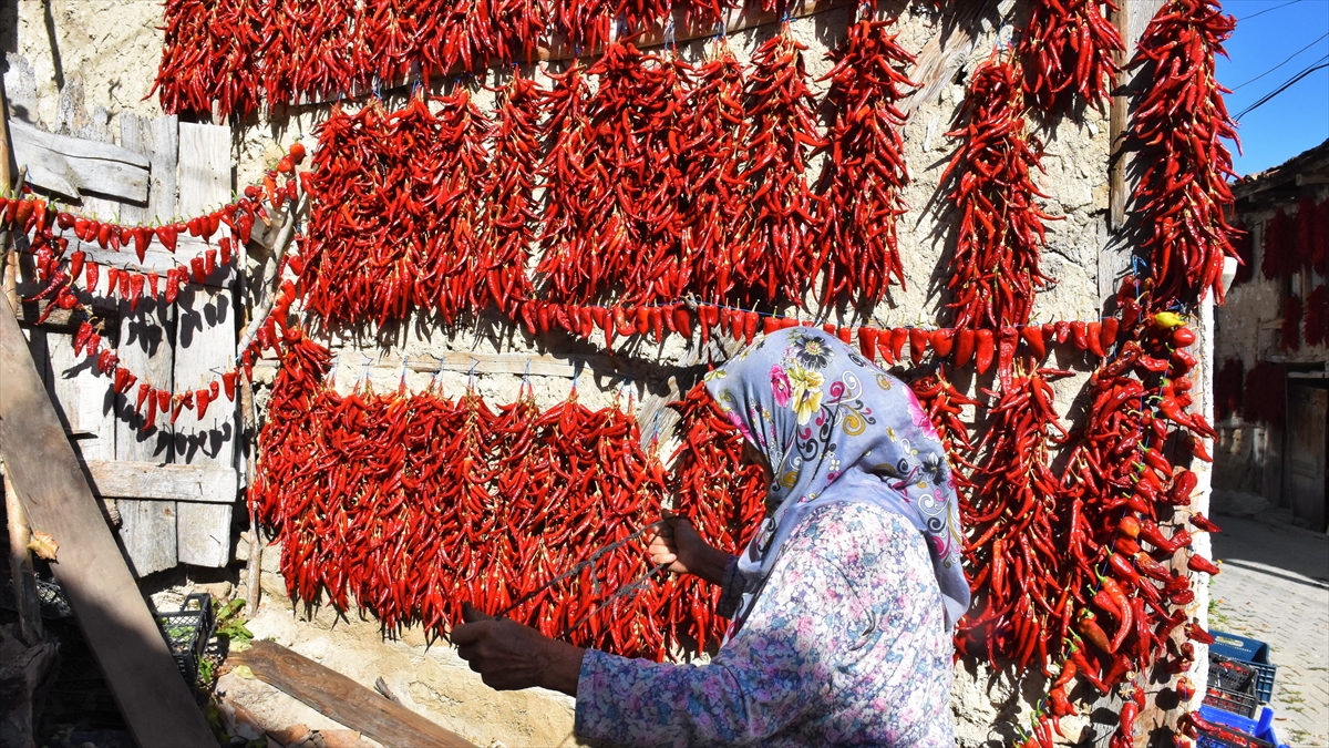 Tescilli "Çukurören Biberi" Acısının Yanında Görüntüsüyle De Ünlü
