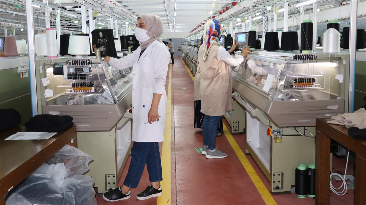 İşkur'un Aktif İş Gücü Programlarına Kadın İlgisi