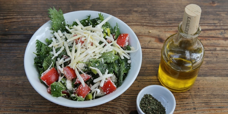 Bağırsaktaki Yararlı Mikroorganizmalar İçin Akdeniz Tipi Beslenme