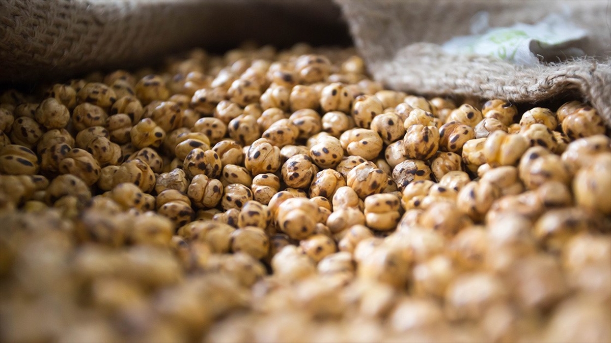 Leblebide Çorum, Denizli Ve Kütahya Arasında 'geleneksel' Rekabet Sürüyor