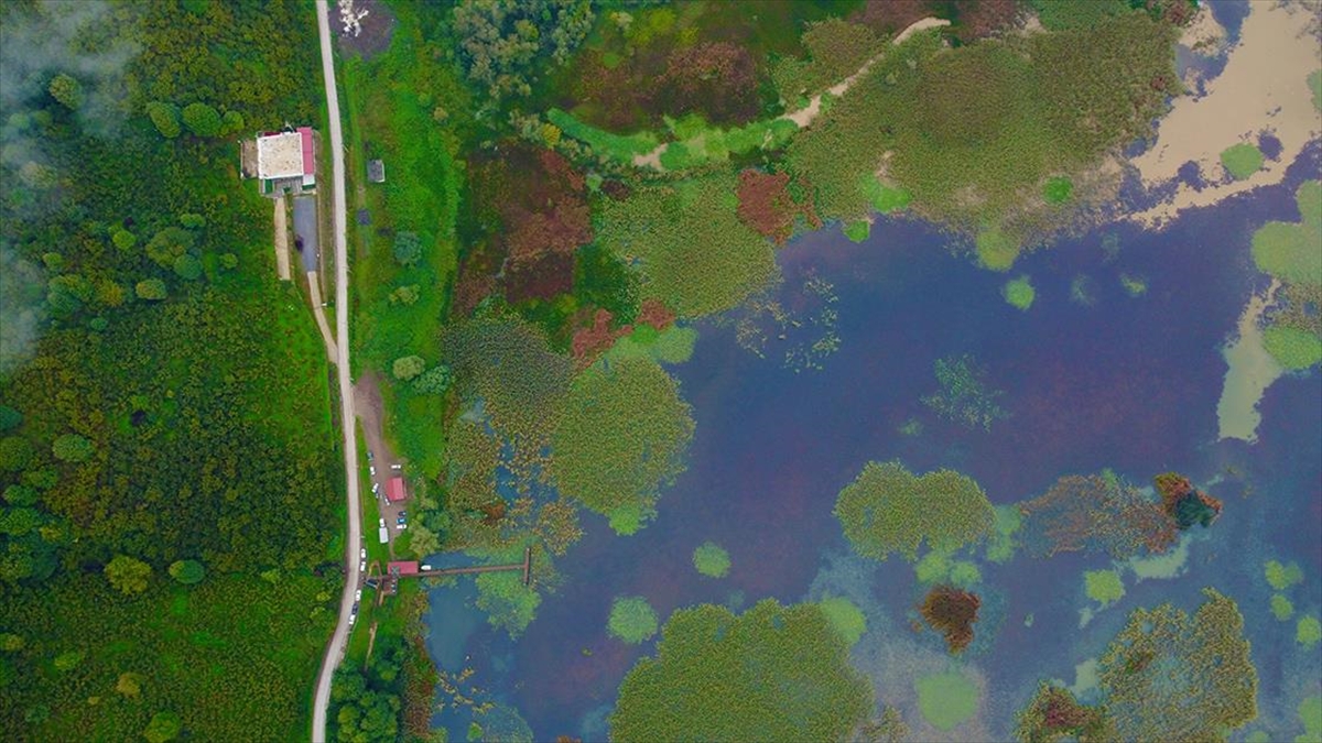 Düzce'nin Doğal Güzellikleri Sonbaharın Renklerine Büründü