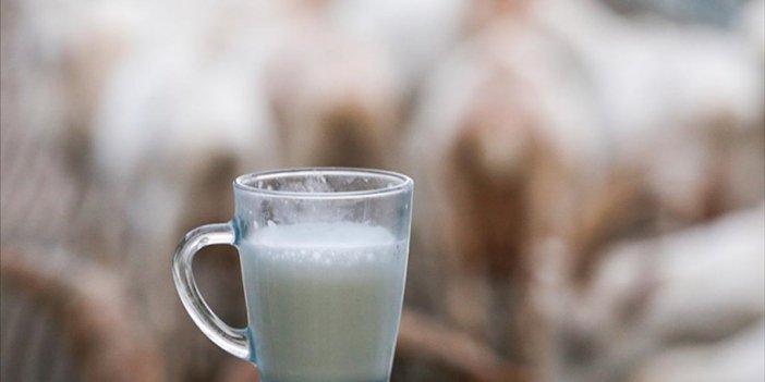 Usk, Çiğ Süt Tavsiye Fiyatını Üreticinin Eline 8,5 Lira Geçecek Şekilde Belirledi