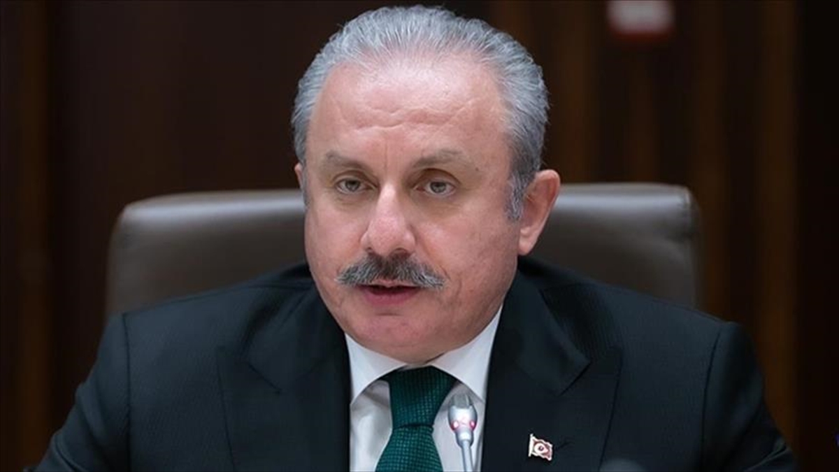 Şentop, CHP'li Erbay'ın Genel Kurulda "Çekiçle Cep Telefonu Kırmasını" Değerlendirdi