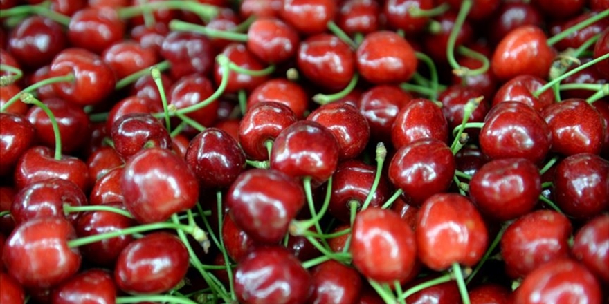 'Abd-çin Ticaret Savaşı Türk Kirazına Yarayabilir'