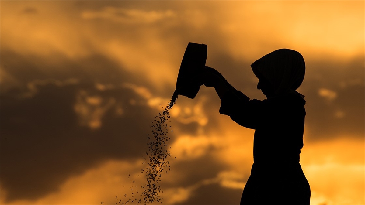 Tarım Ve Orman Bakanlığından 3,6 Milyon Kadın Çiftçiye Eğitim