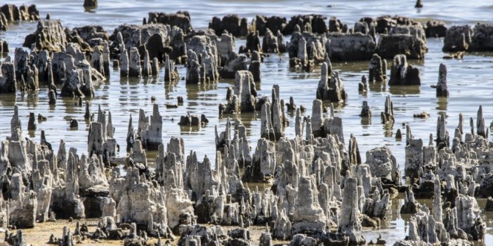 Kuraklık Van Gölü'nde Binlerce Yılda Oluşan Mikrobiyalitleri Etkiliyor